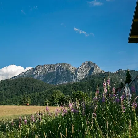 Vm Giewont Apartment Zakopane