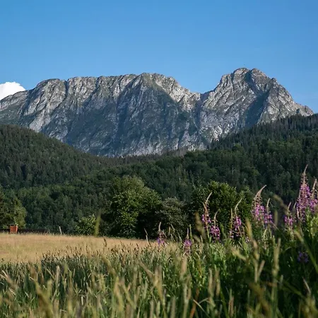 Vm Giewont Apartment Zakopane