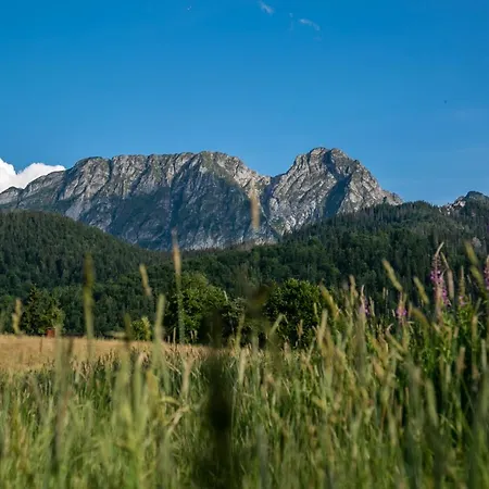 Vm Giewont Zakopane