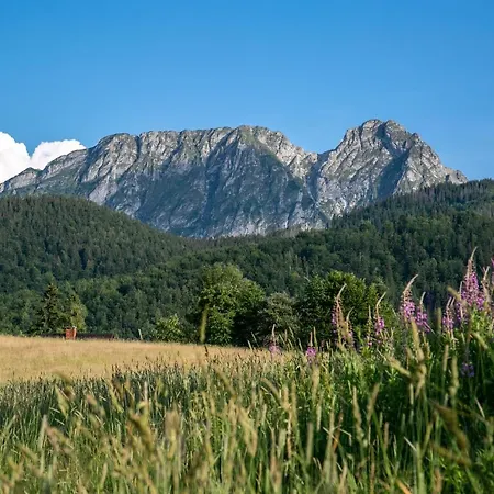 Vm Giewont Apartment *